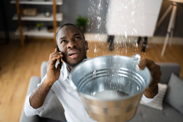 Best Basement water damage restoration  in Wellington, KS