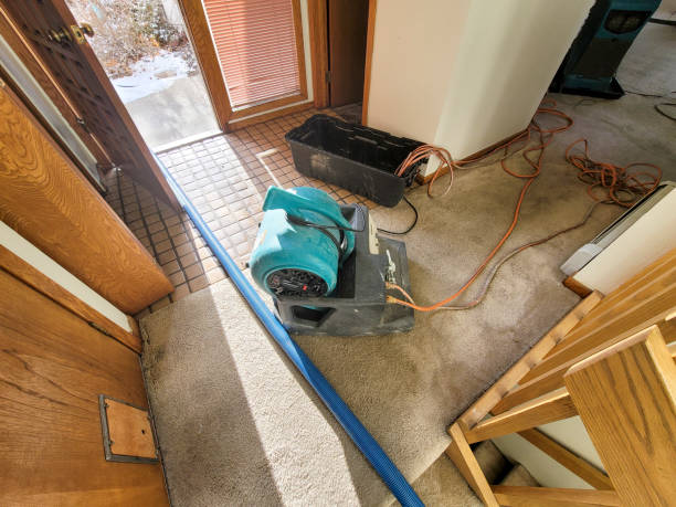 Best Professional water damage repair  in Wellington, KS