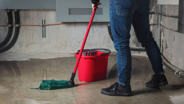 Best Water damage contractors near me  in Wellington, KS