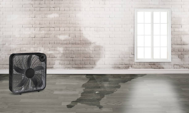 Best Water damage restoration near me  in Wellington, KS