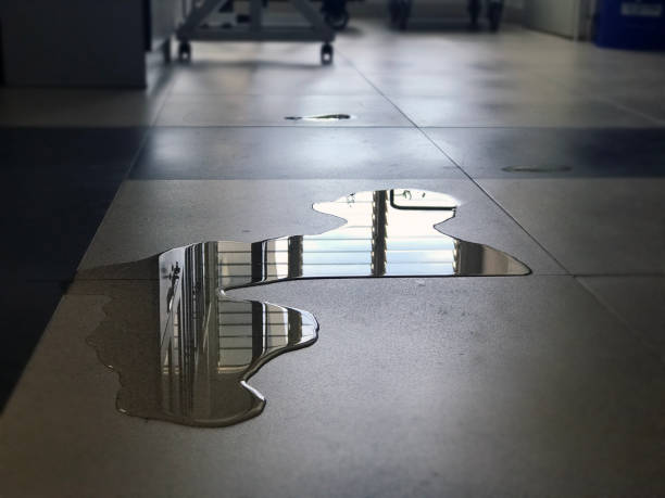 Best Water damage restoration near me  in Wellington, KS
