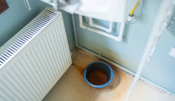 Best Mold removal after water damage  in Wellington, KS
