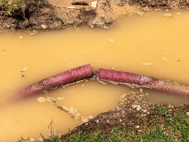 Best Emergency water damage restoration  in Wellington, KS